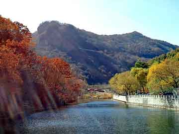 新澳天天开奖资料大全旅游团，带烘干的水稻收割机